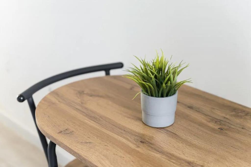 Opo - Fantastic Studio With Garden OOporto Esterno foto