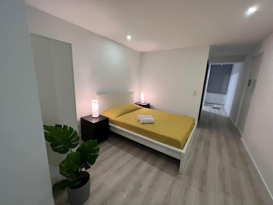 Opo - Fantastic Studio With Garden OOporto Camera foto